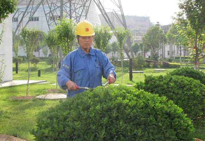 上海綠化養護價格